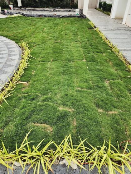 Delhi Gardner - Full-Service Landscaping Large-Scale Landscaping: Commercial & Residential Projects photo 21