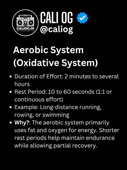 The Aerobic system fuels long-duration efforts from 2 minutes to hours. Shorter rest periods here help maintain endurance while allowing for partial recovery.