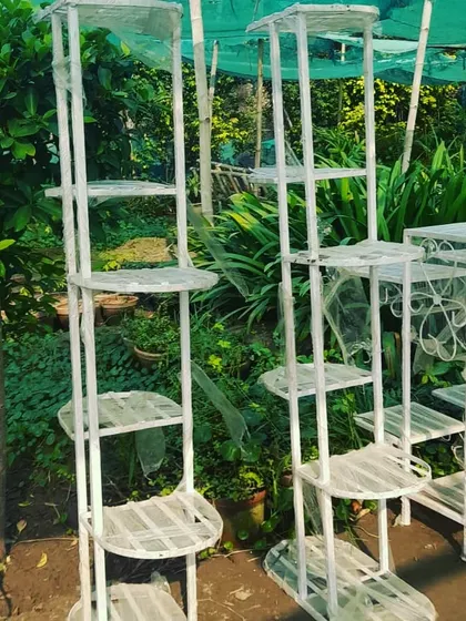 For corners and small spaces, I have these tall, multi-level design stands. You can place many pots vertically, saving floor space. Booking is open, just contact me at Saurav Nursery.