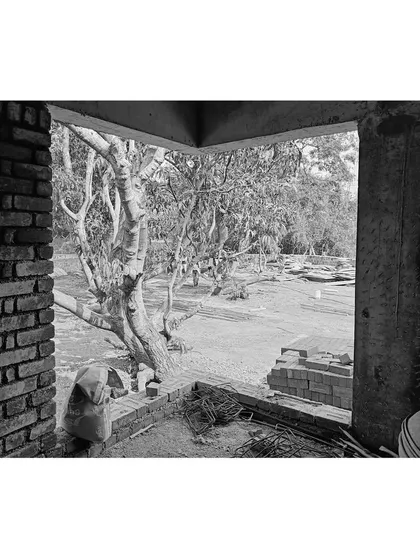 Another view from a site in progress, where the architectural opening acts as a picture frame for the landscape beyond. This practice of 'framing views' is a key technique we use to connect indoor and outdoor spaces.