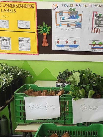 Students learn about modern farming techniques and reading food labels at their annual farmers market. Our programs go beyond just planting to cover the entire food system.