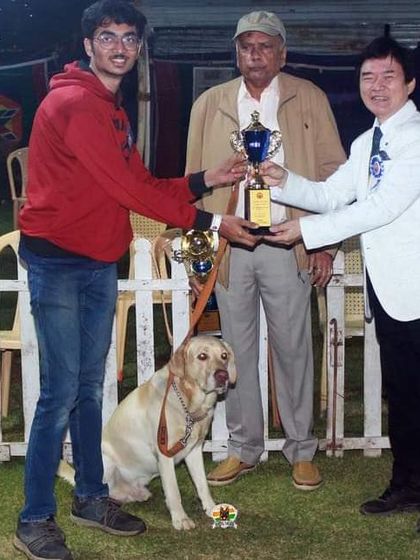 K9 Gurukul - Dog Training for Shows & Media Champions of the Show Ring photo 21