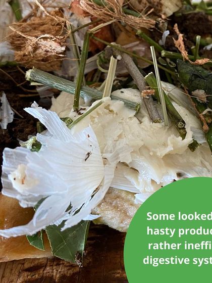 Earthlings Early Years - Kids' Classes & Holiday Camps Messy & Magical Sensory Play photo 18