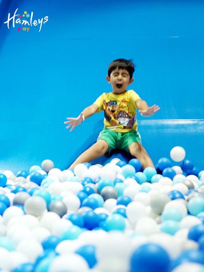 Slides & Ball Pits of Fun photo 4