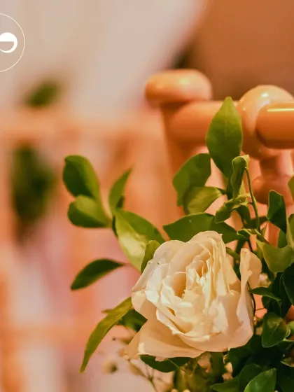 A single white rose tied to a chair, a simple yet elegant detail that adds a touch of romance to the overall decor.