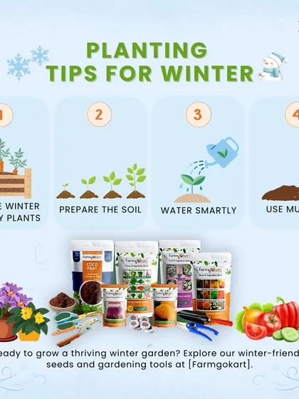 This guide gives you my top four planting tips for winter. I show you how to choose winter-friendly plants, prepare the soil, water smartly, and use mulch to protect your garden.