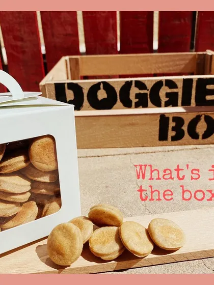 What's in the box? First up, a box of our crunchy, oven-baked cookies. They're a classic favorite and a staple in every Doggie Box we send out.