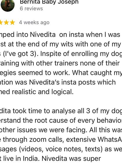 Confident Dogs - Canine Behavior Modification Real Dogs, Real Transformations photo 8