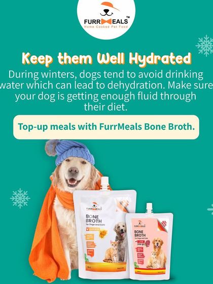 This visual highlights the importance of hydration during winter. A warm bowl of bone broth not only provides comfort but also ensures your dog stays well-hydrated when they might be avoiding their water bowl.