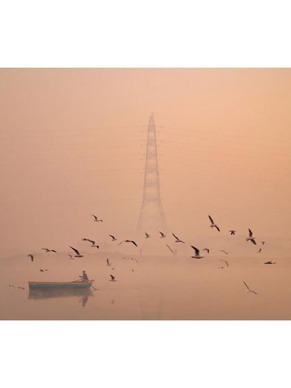 A lone boatman on the Yamuna, surrounded by birds, with a large electricity pylon in the misty background. The composition balances nature with industrial infrastructure.