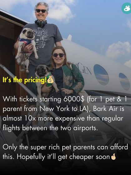 The Pack - Online Pet Parent Community Additional Resources & Updates photo 5