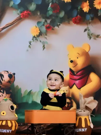 A delightful Winnie the Pooh theme, featuring a baby in a bee costume surrounded by Pooh, Tigger, and honey pot props in the Hundred Acre Wood.