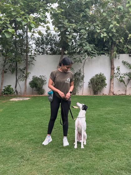 A focused training session in our spacious yard. This one-on-one attention is a key part of our program.