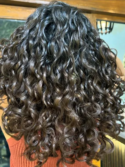 A collection of my other no-bleach balayage and color work, showcasing a variety of tones from subtle browns to vibrant reds on different curl types.