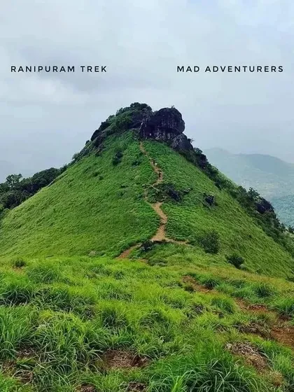 The final stretch of the trail leading to the Ranipuram peak, with its distinctive rocky outcrop.