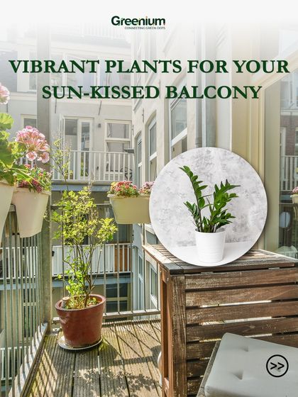 Greenium - Outdoor Landscaping & Garden Design Balcony Makeovers: Big Ideas for Small Spaces photo 35