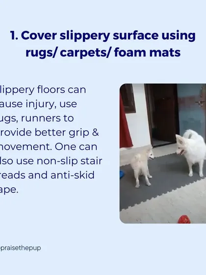 Slippery floors are a hazard. I use these interlocking foam mats in high-traffic areas to provide excellent grip and prevent injuries, giving dogs the confidence to move around freely.