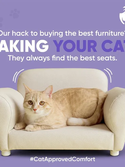 This ginger cat has claimed its throne. Our miniature pet sofas are not just cute, they are designed for ultimate comfort, making them a cat approved comfort spot in any home.