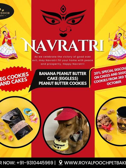 This Navratri, I'm offering special veg cookies and eggless cakes for your furry companions. It's a great way to include them in the festivities with healthy, appropriate treats.