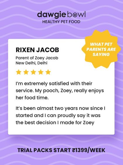 "The best decision I made for Zoey." This review from New Delhi after almost two years of service is a powerful reminder of why I focus on quality and customer satisfaction.