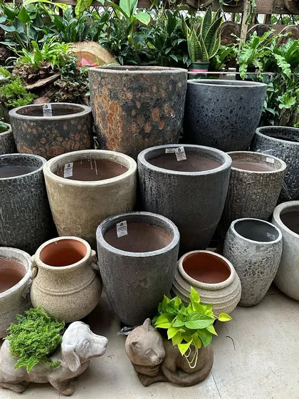 Here is a new collection of Atlantis planters, famous for their unique, weathered finish. I stock a wide variety of shapes and sizes, from small animal planters to large statement pots, perfect for any garden or deck design.