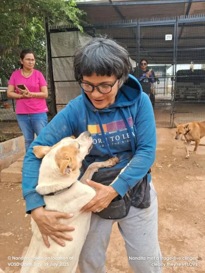 Visitor Nandita met a stage-five clinger, and it was clearly love at first sight. Our dogs are not shy about showing their affection to kind visitors.