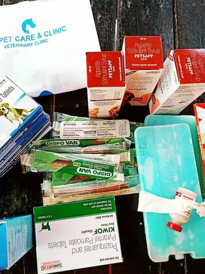 A huge thank you to SJS Pet Care & Clinic for their generous donation of medicines for our stray and rescued animals. Community support like this is vital to our work.