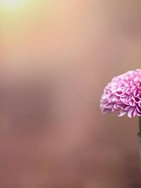 Photography Workshops & Tutoring