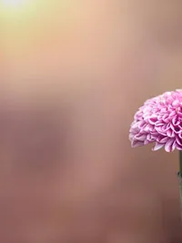 Photography Workshops & Tutoring