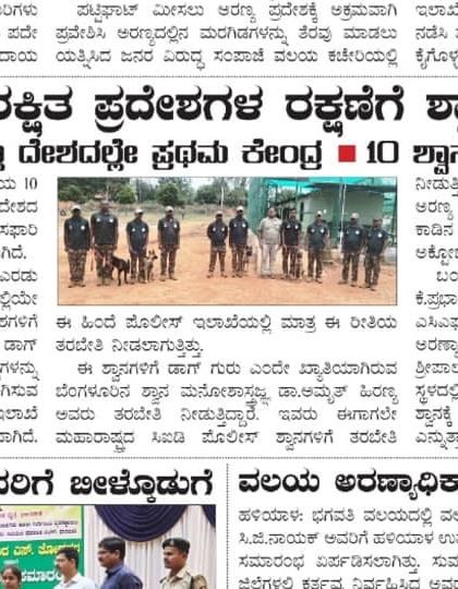 Dog Guru - Professional Dog Trainer Certification A Nationally Recognized Expert photo 4