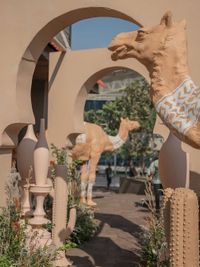 Themed & Social Event Decoration