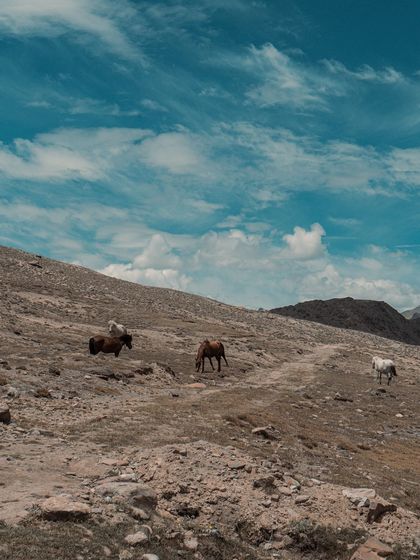 Garima Bhaskar - Photography Services Travel Diaries: Global & Local photo 59