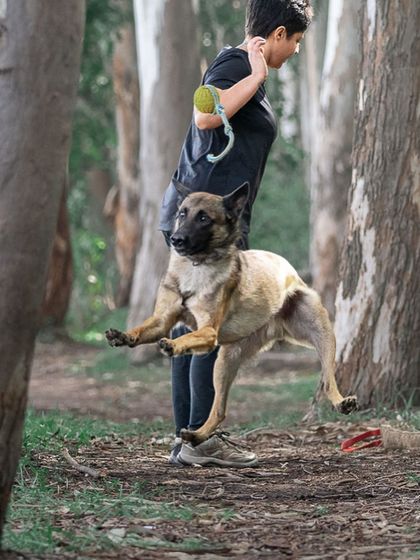 Pragalbh - Fine Art Pet Photography Outdoor Adventures photo 26