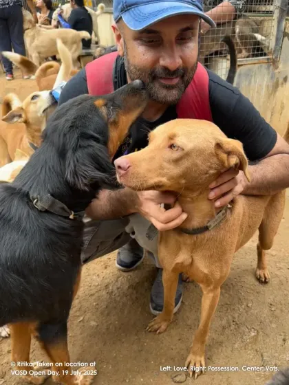 A moment of pure connection during one of our Open Farm Days. The love between our dogs and visitors is a powerful reminder of why we do what we do. This is the virtuous circle of kindness we strive to create.
