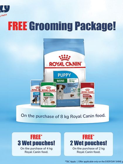 Zigly - Pet Supplies Special Offers & Announcements photo 4