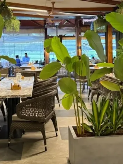 Planters with a mix of upright and variegated plants create natural partitions between tables at the KGA cafe. This ensures privacy for diners while maintaining a sense of connection to the overall space.