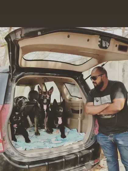 Three is a squad. My pack ready for an adventure. They are well-socialized and travel well together because they have structure and clear leadership.