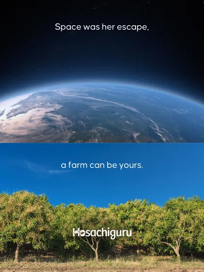 You don't need a rocket to escape. Your sanctuary can be found right here on Earth, under a mango tree. We offer a different kind of space exploration.