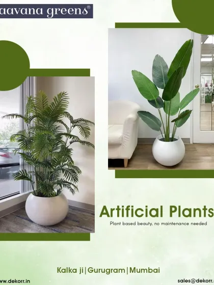 Plant-based beauty, no maintenance needed. This image shows two of our popular large potted plants, an Areca Palm and a Bird of Paradise, perfect for filling empty corners.