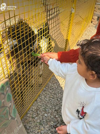 On a field trip to a local farm, children get to interact with animals up close. Feeding a goat, watching ducks, and petting a donkey teaches empathy, respect for living things, and overcomes apprehension.
