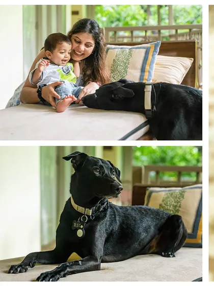 More sweet moments from Vyom and Rio's outdoor session. A happy baby gets a curious sniff from his canine brother, while Rio poses majestically, always keeping a watchful eye. This is what a dog and baby lifestyle session looks like.