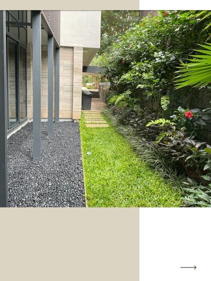 Neo Roots Design - Landscape Design & Execution Behind the Scenes photo 3