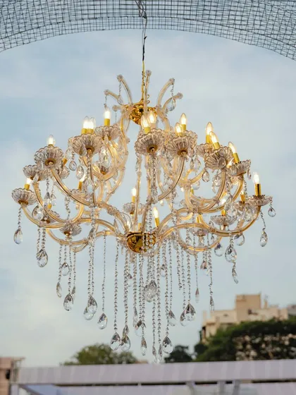 A close-up of a classic crystal chandelier, its warm light and intricate details adding a touch of timeless glamour to the botanical setting. This juxtaposition of rustic and refined is a signature of my style.
