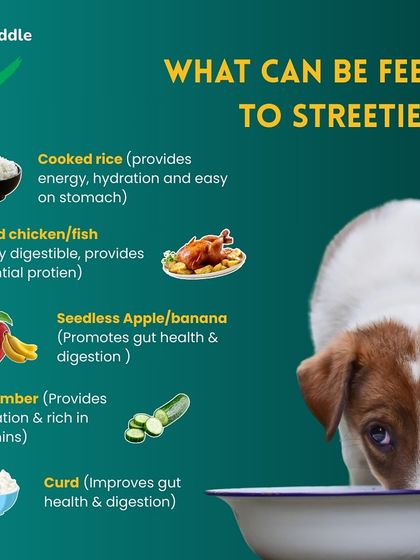 Kuddle - At-Home Veterinary Services Our Community: Advocacy & Heartwarming Stories photo 6