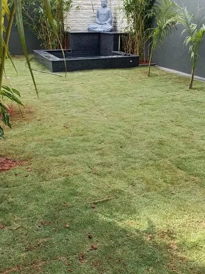 This perspective shows the full extent of the new lawn, with the water feature and bamboo providing a beautiful backdrop.
