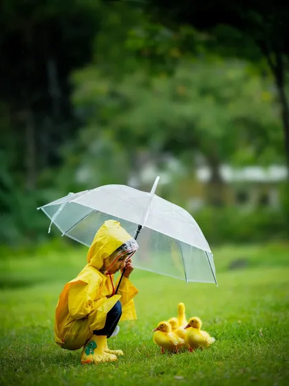 A magical moment during a rainy day shoot, as a little boy in a yellow raincoat shares his umbrella with a group of ducklings.