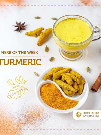 Turmeric, or Haridra, is a true golden spice. As a powerful anti-inflammatory, it helps reduce joint pain, boosts immunity, and is renowned for its ability to promote a radiant, blemish-free complexion.