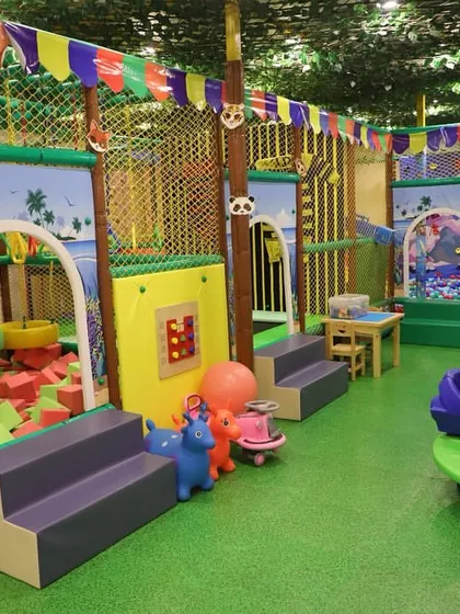 A wide view of the jungle-gym-themed play area, showing the multi-level climbers, foam pit, and merry-go-round. There's an activity for every child to discover.