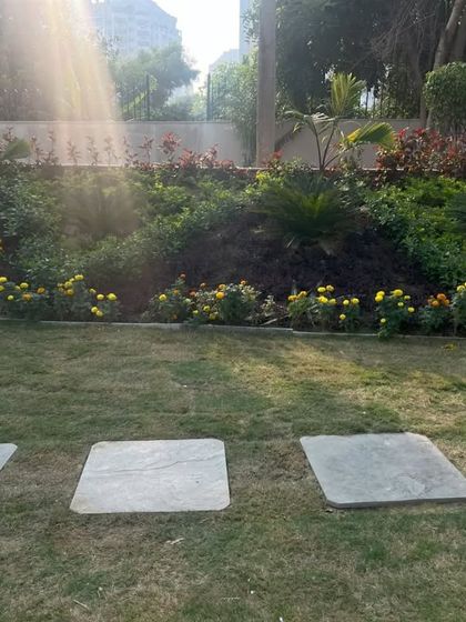 A garden at dusk, with the setting sun casting a warm glow over the plants and stone pavers. Our designs consider how the garden will look and feel at all times of day.