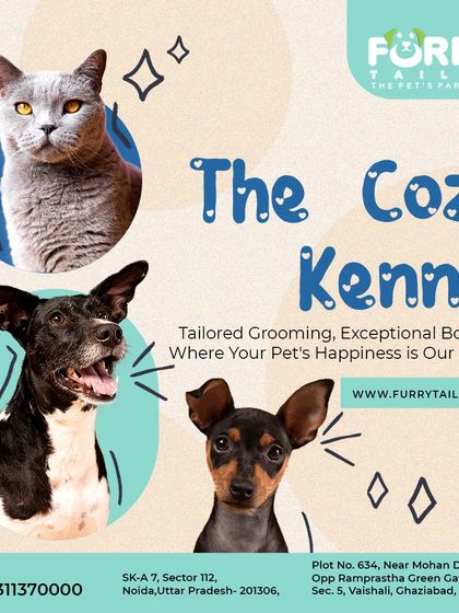 "The Cozy Kennel" provides tailored grooming and exceptional boarding where your pet's happiness is our top priority. We cater to all breeds of dogs and cats.